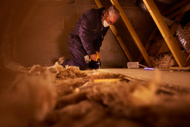 Types of Insulation We Offer in Premont, TX